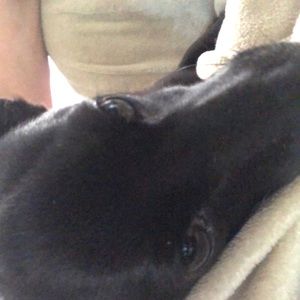 Meet your Posher, Carol